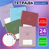 Тетрадь 24 л. BRAUBERG клетка, обложка картон, PHRASES, 107304 107304