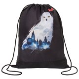 Мешок для обуви ПИФАГОР, 1 отделение, 42х34 см, "White Owl", 270182 270182