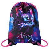 Мешок для обуви BRAUBERG PREMIUM, карман, подкладка, светоотражайка, 43х33 см, "Neon cat", 271621 271621