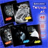Тетрадь А5, 48 л., BRAUBERG, скоба, клетка, выборочный лак, Wild eyes (микс в спайке), 404343 404343