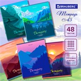 Тетрадь А5 48 л. BRAUBERG скоба, клетка, обложка картон, Majesty (микс в спайке), 404368 404368