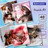 Тетрадь А5 48 л. BRAUBERG скоба, линия, обложка картон, Питомцы (микс в спайке), 404386 404386