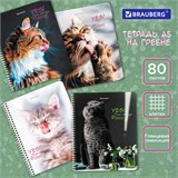 Тетрадь А5 80 л. BRAUBERG, гребень, клетка, глянцевая ламинация, "Довольные Коты" (микс в спайке), 404417 404417