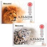 Альбом для рисования, А4, 40 листов, гребень, обложка картон, BRAUBERG, 205х290 мм, Благородные кошки (2 вида), 102831 102831