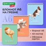Блокнот МАЛЫЙ ФОРМАТ А6 108х145 мм, 40 л., гребень, картон, клетка, BRAUBERG KIDS, "Собачки", 114394 114394 Блокнот МАЛЫЙ ФОРМАТ А6 108х145 мм, 40 л., гребень, картон, клетка, BRAUBERG KIDS, "Собачки", 114394 114394