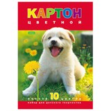 Картон цветной А4 МЕЛОВАННЫЙ, 10 листов 10 цветов, в папке, HATBER VK, 195х290 мм, Белый щенок, 10Кц4 03414 128038