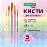Кисти СИНТЕТИКА набор 5 шт. (круглые № 1, 2, 5, плоские № 5, 8), блистер, BRAUBERG KIDS, 201075 201075