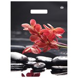 Пакет с вырубной ручкой ПВД ламинированный, 40х31 см, 