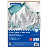 {{productViewItem.photos[photoViewList.activeNavIndex].Alt || productViewItem.photos[photoViewList.activeNavIndex].Description || 'Картон белый А4 немелованный, 200 листов, в коробе, BRAUBERG, 210х297 мм, 116633'}}
