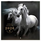 {{photo.Alt || photo.Description || 'Календарь настенный перекидной 2026 г., BRAUBERG, 12 листов, 28,5х28,5 см, &quot;Символ года&quot;, 116928'}}