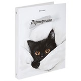 {{photo.Alt || photo.Description || 'Папка-портфолио универсальная, 4 кольца, 20 файлов, 7БЦ матовая, BRAUBERG &quot;Cat&quot;, 107557, 117557'}}