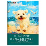 {{photo.Alt || photo.Description || 'Бумага для гуаши и акрила А3 10 л., 235 г/м2, 297х420 мм, в папке, BRAUBERG ART CLASSIC, &quot;Море&quot;, 117734'}}
