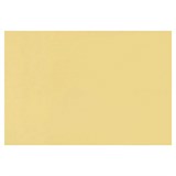 {{photo.Alt || photo.Description || 'Бумага для пастели (1 лист) FABRIANO Tiziano А2+ (500х650 мм), 160 г/м2, банановый, 52551003'}}