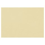 {{photo.Alt || photo.Description || 'Бумага для пастели (1 лист) FABRIANO Tiziano А2+ (500х650 мм), 160 г/м2, песочный, 52551006'}}