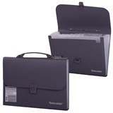 {{photo.Alt || photo.Description || 'Папка-портфель пластиковая BRAUBERG А4 (327х254х30 мм), 13 отделений, серая, 221438'}}