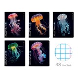 {{photo.Alt || photo.Description || 'Тетрадь А5 48 л. АЛЬТ скоба, клетка, TWIN-лак, &quot;Медузы фэнтези&quot; (5 видов), 7-48-1331'}}