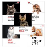 {{photo.Alt || photo.Description || 'Тетрадь А5 48 л., HATBER скоба, клетка, обложка картон, &quot;Котоюмор&quot; (микс в спайке), 079790, 48Т5В1'}}