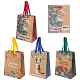 {{photo.Alt || photo.Description || 'Пакет подарочный (1 шт.) новогодний, 18х10х23 см, &quot;Зимнее волшебство&quot;, крафт, ассорти, ЗОЛОТАЯ СКАЗКА, 592435'}}