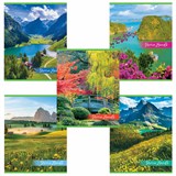 {{photo.Alt || photo.Description || 'Тетрадь А5, 48 л., HATBER-ECO скоба, офсет №2 ЭКОНОМ, клетка, обложка мелованная бумага, GreenLand, 48Т5D1'}}