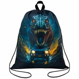 {{photo.Alt || photo.Description || 'Мешок для обуви BRAUBERG KIDS, с петлей, 42х34 см, "Dino chase", 272416'}}