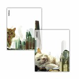 {{photo.Alt || photo.Description || 'Обложки ПП для тетрадей и дневников ERICH KRAUSE "Big City Cats", КОМПЛЕКТ 12 шт., 80 мкм, 212х347 мм, 63508'}}