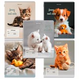 {{photo.Alt || photo.Description || 'Тетрадь 12 л. BRAUBERG косая линия, обложка картон, CATS AND DOGS, 107288'}}