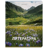 {{photo.Alt || photo.Description || 'Тетрадь предметная КЛАССИКА ПРИРОДА 48 л., обложка картон, ЛИТЕРАТУРА, линия, подсказ, BRAUBERG, 405090'}}