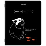 {{photo.Alt || photo.Description || 'Тетрадь предметная МЕМЫ 48 л., TWIN-лак, ОБиЗР, клетка, подсказ, BRAUBERG, 405108'}}