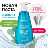 {{photo.Alt || photo.Description || 'Зубная паста 240 мл, SYNERGETIC "Отбеливающая", с экстрактами эвкалипта и зеленого чая, дозатор, 201023'}}