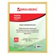 Рамка 30х40 см, пластик, багет 12 мм, BRAUBERG HIT2, золото, стекло, 391132 391132 - фото 104837