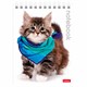 Блокнот МАЛЫЙ ФОРМАТ А6 110х145 мм, 40 л., гребень, лакированная обложка, клетка, HATBER, "Котята", 40Б6B1гр, В12291 121503