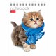 Блокнот МАЛЫЙ ФОРМАТ А6 110х145 мм, 40 л., гребень, лакированная обложка, клетка, HATBER, "Котята", 40Б6B1гр, В12291 121503