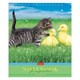 Тетрадь А5 48 л. HATBER скоба, клетка, обложка картон, "Усы, лапы, хвост" (5 видов в спайке), 48Т5В1 404482