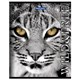 Тетрадь А5, 48 л., BRAUBERG скоба, клетка, обложка картон, ДИКИЕ И СВОБОДНЫЕ, 401810 401810