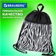 Мешок для обуви BRAUBERG БОЛЬШОЙ, с ручкой, карман на молнии, сетка, 49х41 см, "Zebra", 271611 271611