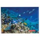 Папка-конверт с кнопкой BRAUBERG "SEA WORLD", А4, 160 мкм, до 100 листов, цветная печать, 228041 228041