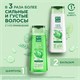 Шампунь для всех типов волос 250 мл, ЧИСТАЯ ЛИНИЯ "Экстракт крапивы", укрепляющий 609857