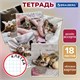 Тетрадь 18 л. BRAUBERG клетка, обложка картон, КОТЯТА, 107292 107292 - фото 267351