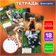 Тетрадь 18 л. BRAUBERG клетка, обложка картон, СОБАЧКИ, 107295 107295 - фото 267354