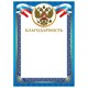 Грамота "Благодарность", А4, мелованный картон, конгрев, тиснение фольгой, синяя рамка, BRAUBERG, 128345 128345 - фото 268811