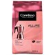 Кофе в зернах COFFESSO "Allure", 1 кг, 102487 623413 - фото 308307