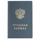 Бланк документа Трудовая книжка, 88х125 мм, ГОЗНАК 121229 - фото 324199