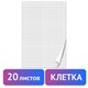 Блокнот для флипчарта ПЛОТНЫЙ 80 г/м2, BRAUBERG, 67,5х98 см, 20 листов, белый (КЛЕТКА), 128645 128645 - фото 324588