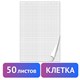 Блокнот для флипчарта ПЛОТНЫЙ 80 г/м2, BRAUBERG, 67,5х98 см, 50 листов, белый (КЛЕТКА), 128647 128647 - фото 324590