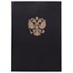 Книга учета 96 л., клетка, твердая, бумвинил, офсет, герб, А4 (200х290 мм), BRAUBERG, черная, 130275 130275 - фото 324820