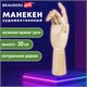 Манекен художественный BRAUBERG ART CLASSIC "РУКА", высота 30 см., мужская правая, дерево, 191297 191297 - фото 326841