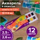 Акварель художественная в кюветах НАБОР 12 цветов по 2,5 г, BRAUBERG ART DEBUT, 191776 191776 - фото 326966