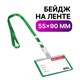Бейдж школьника горизонтальный (55х90 мм), на ленте со съемным клипом, ЗЕЛЕНЫЙ, BRAUBERG, 235763 235763 - фото 329066