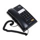 Телефон RITMIX RT-330 black, быстрый набор 3 номеров, мелодия удержания, черный, 15118350 262837