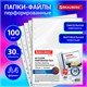Папки-файлы перфорированные с антибликовой текстурой А4 BRAUBERG PIXEL, КОМПЛЕКТ 100 шт., 30 мкм, 271826 271826 - фото 330270